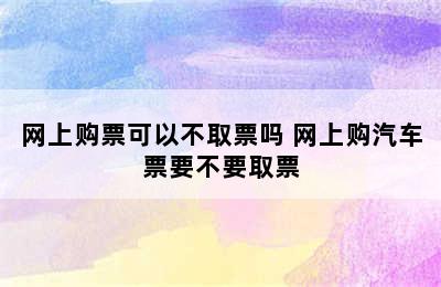 网上购票可以不取票吗 网上购汽车票要不要取票